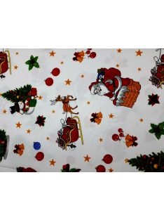 A télapó és a hóember is megérkezett