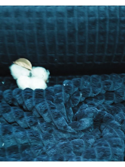 Jacquard Léda – Prémium minky anyag-petrol