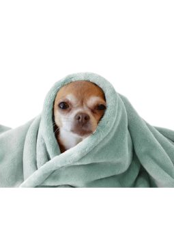 Prémium pihe polár